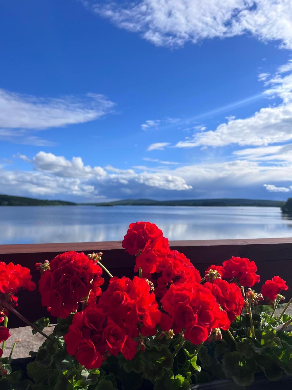 Jauri Resort 케미야르비 외부 사진
